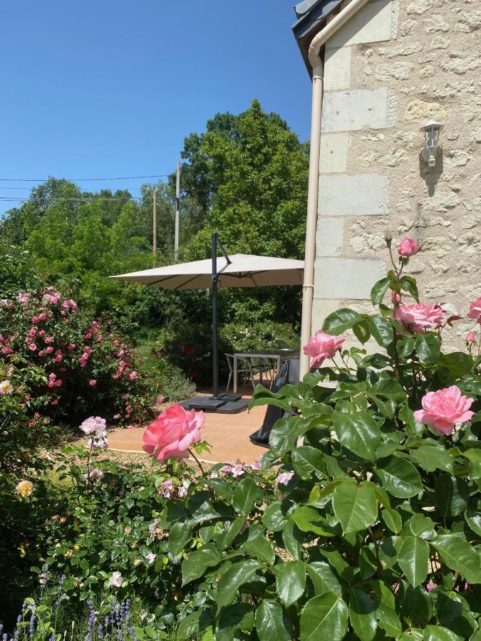 Gite de La Cale de la Clauderie Rigny-Ussé Exterior foto