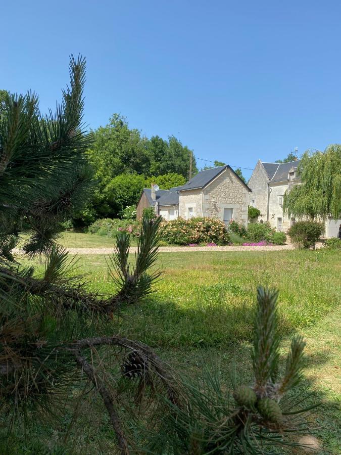 Gite de La Cale de la Clauderie Rigny-Ussé Exterior foto